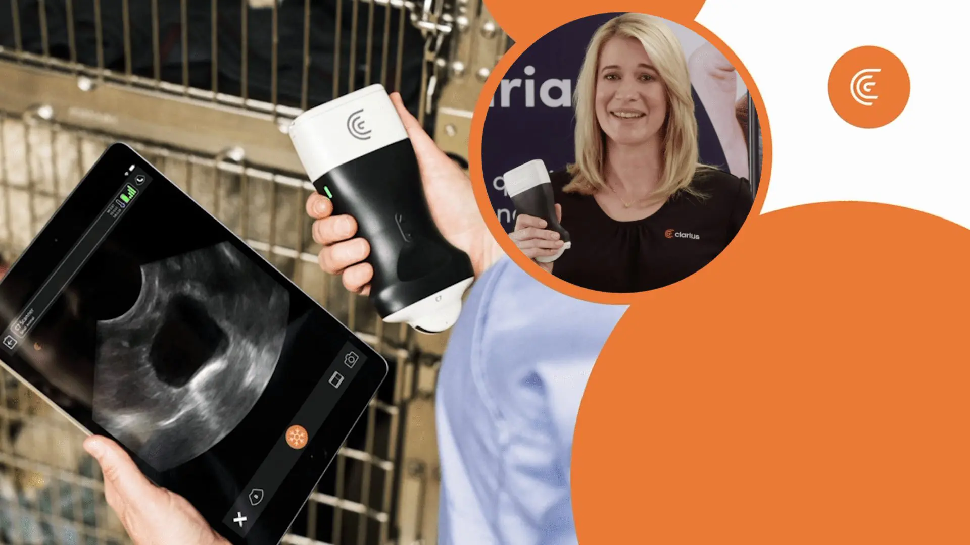 Watch Kylie’s Ultrasound Demonstration for Veterinarians