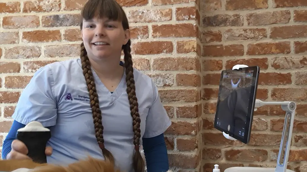Clarius Classroom Now Includes Veterinary Ultrasound Education Videos