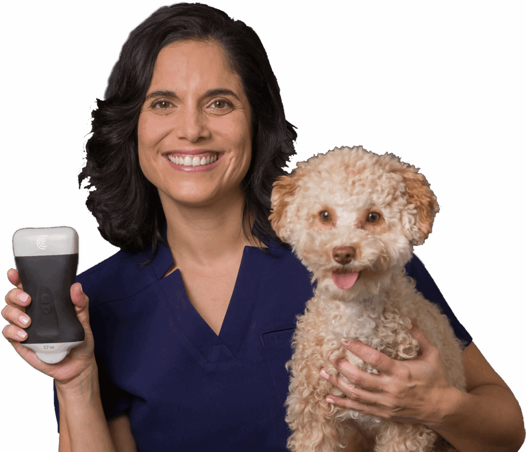 Handheld Ultrasound for Small Animals Vet Veterinary