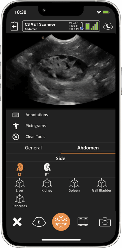 VET_measurements