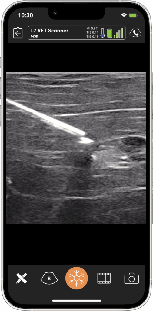 VET_needle