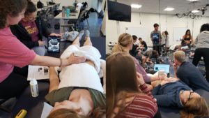 What Lies Beneath- Ultrasound Imaging Brings Anatomy to Life for Physical Therapy Students
