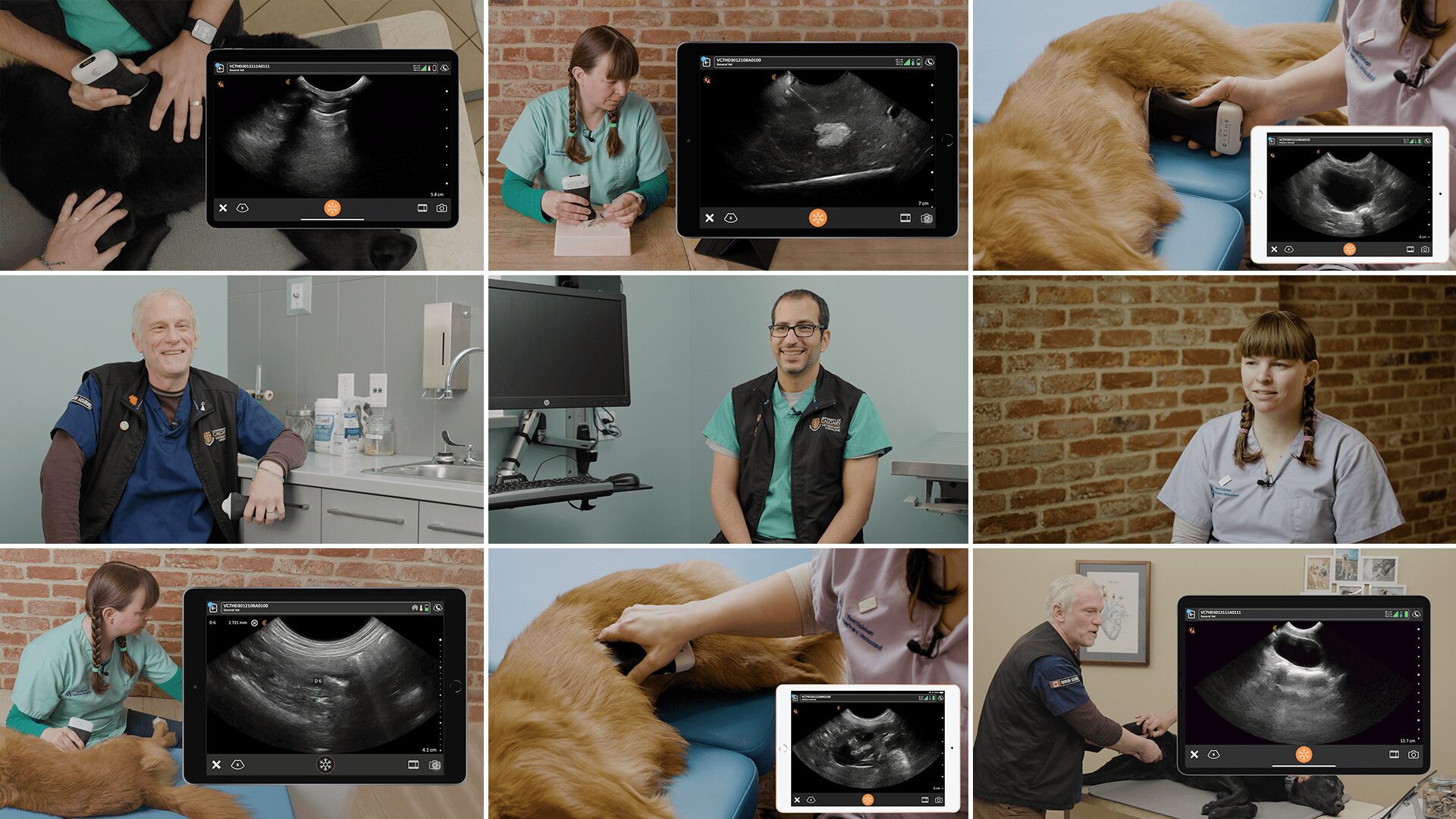 Video Education Learn Next Level Ultrasound Skills For Veterinary Medicine Clarius 2138