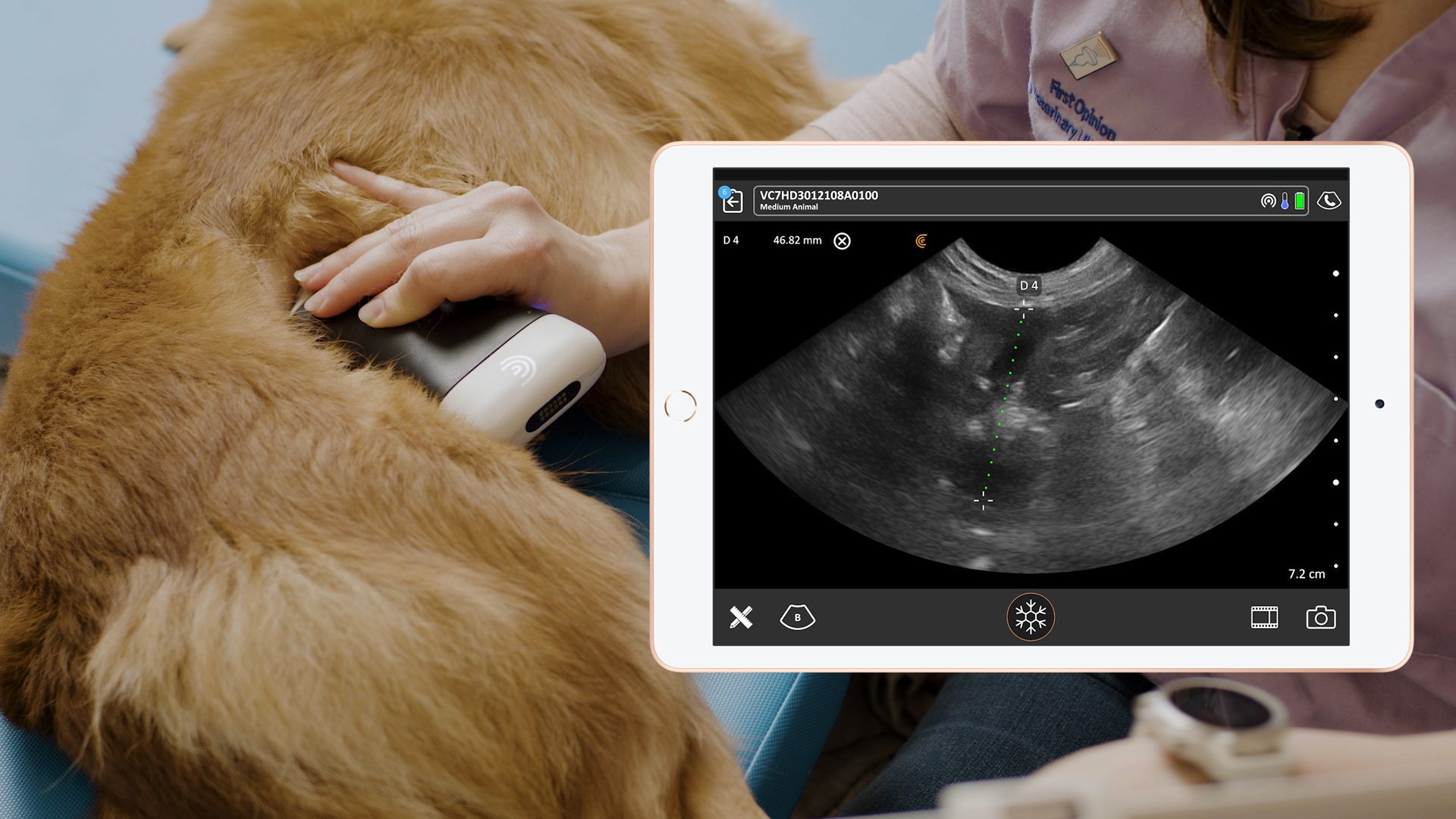 VIDEO] Clarius Classroom Now Includes Veterinary Ultrasound Education  Videos | Clarius
