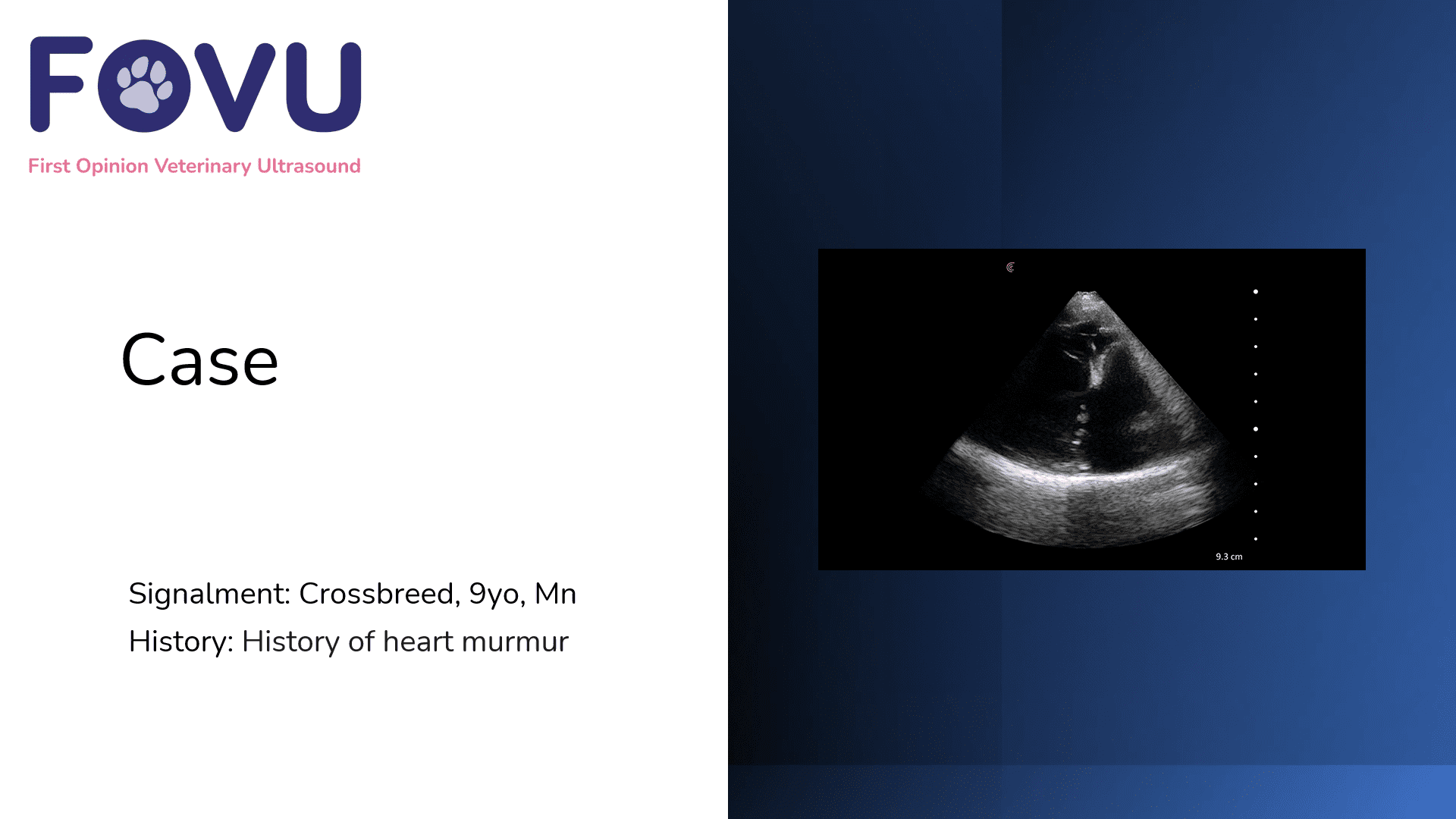 Canine Mitral Valve Disease | Clarius