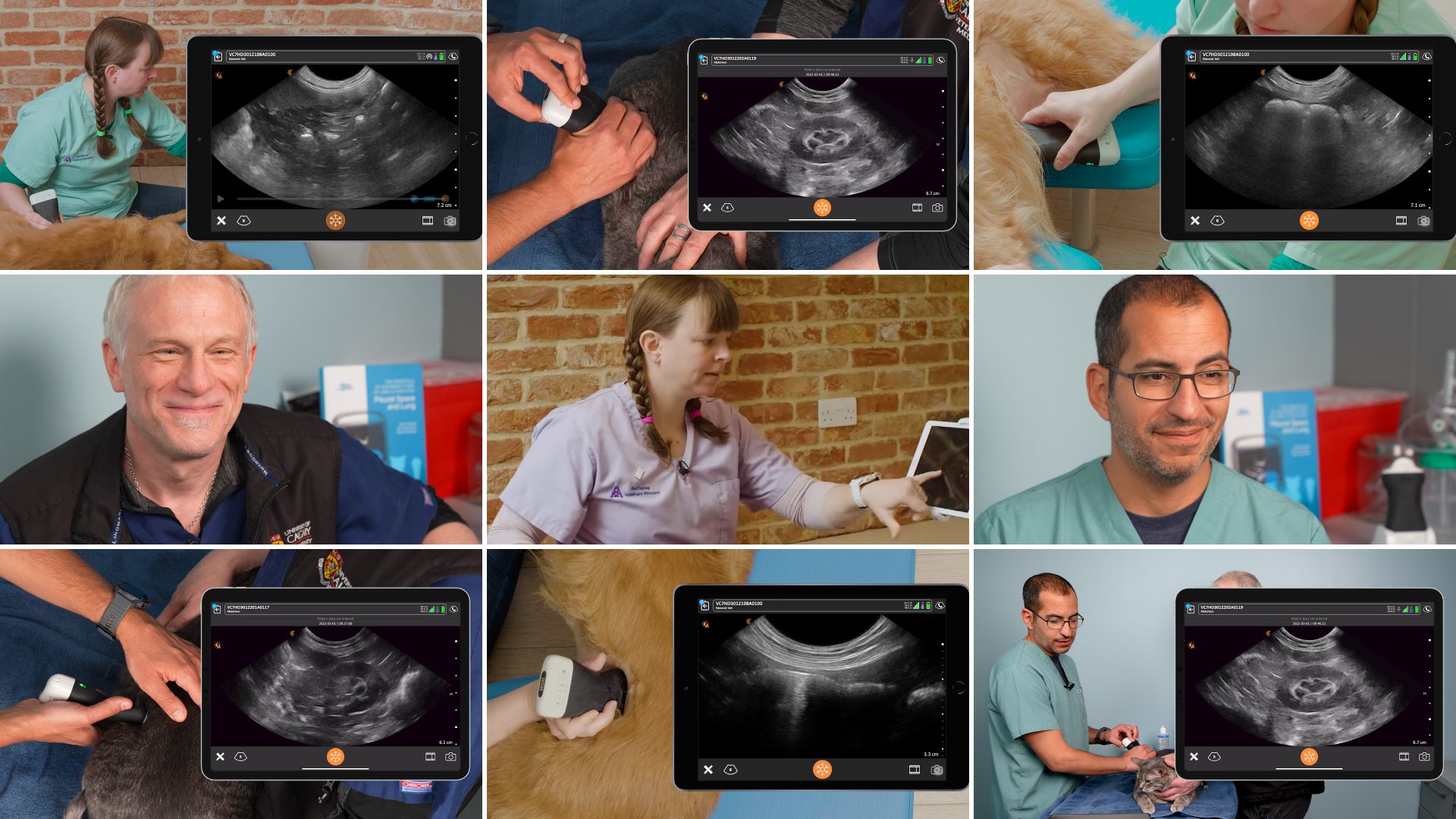 Video Series Learn From The Experts Veterinary Ultrasound Instructors Share Their Pro Tips 6461